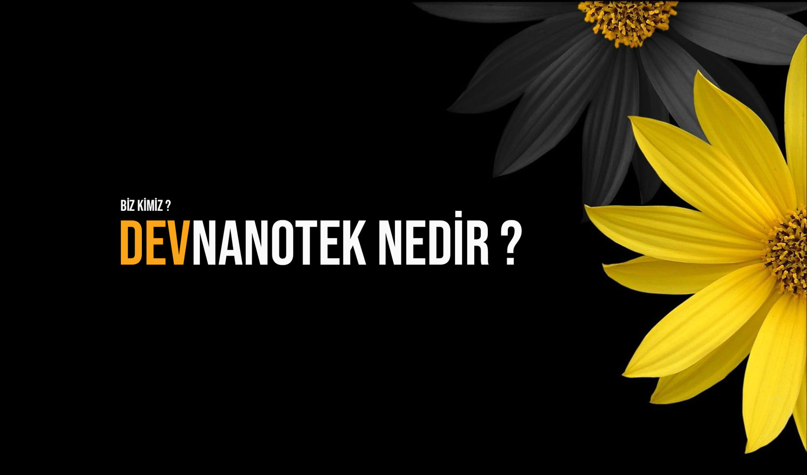 Biz kimiz ? Devnanotek Nedir?
